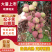 广东白糖罂荔枝/妃子笑荔枝/精品妃子笑/肉质柔嫩欢迎