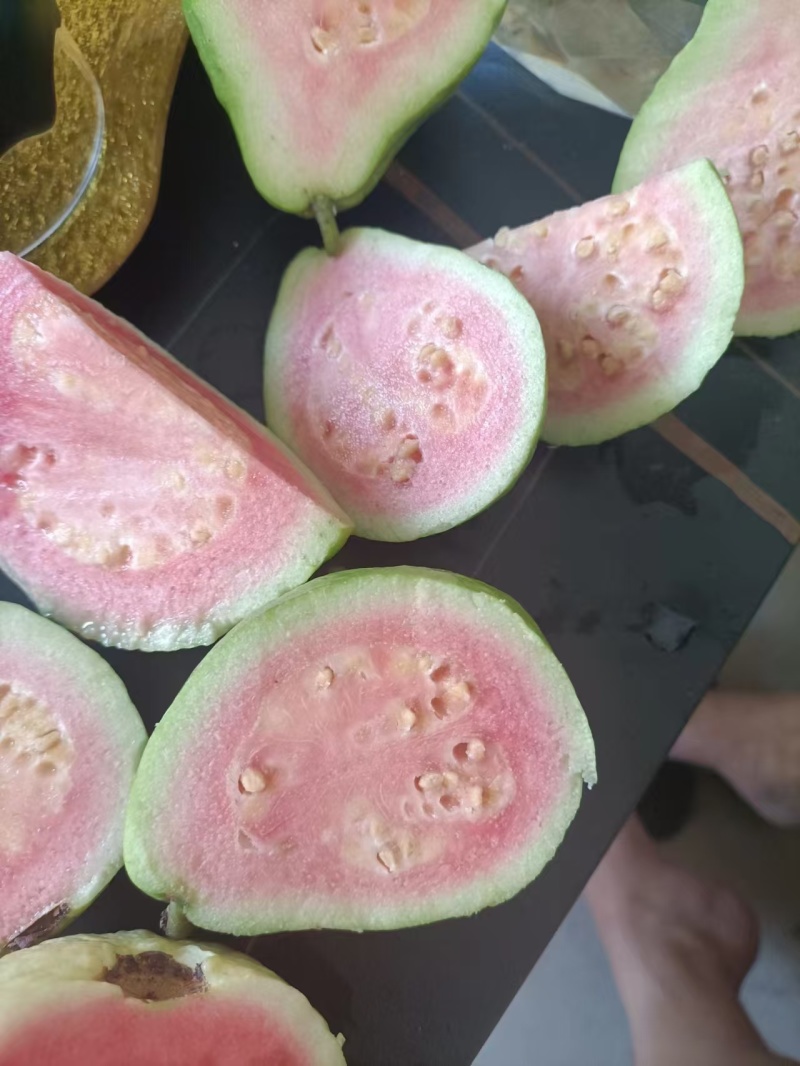 湛江红心芭乐自己有场地有工人有设备提供网袋纸箱按需求分拣打包