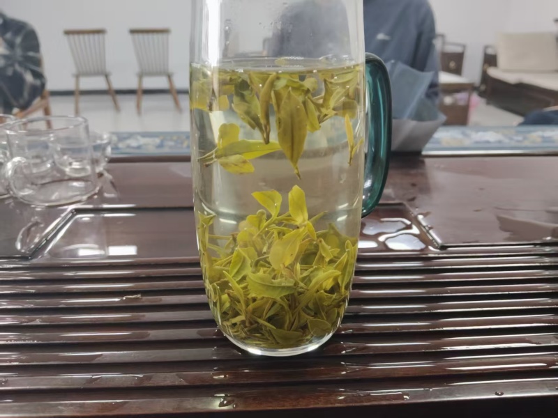 安徽滁州毛尖绿茶/半塔云尖高档礼盒包装-对接全国商超发货