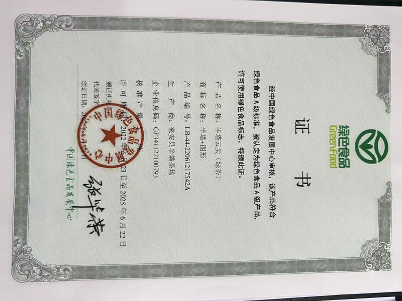 安徽滁州毛尖绿茶/半塔云尖高档礼盒包装-对接全国商超发货