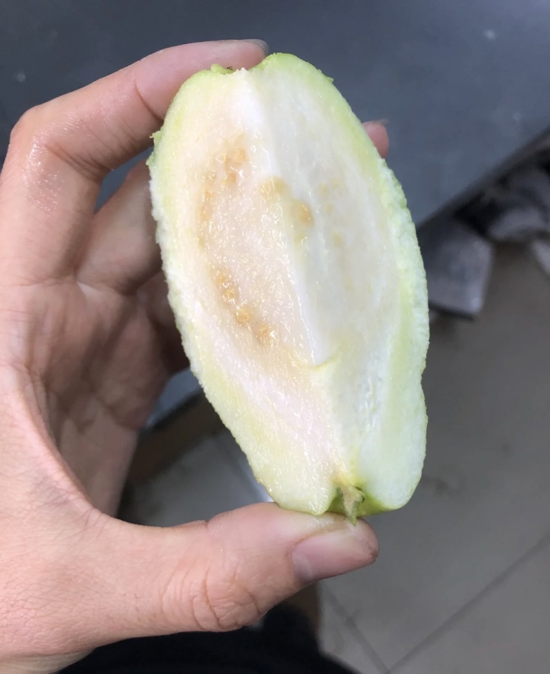 白心番石榴珍珠白芭乐源头直销可开发票全年有货