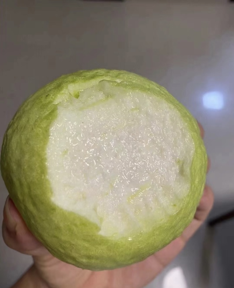 白心番石榴珍珠白芭乐源头直销可开发票全年有货