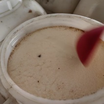 东北椴树蜜雪蜜基地直供一手货源质量保证量大优惠