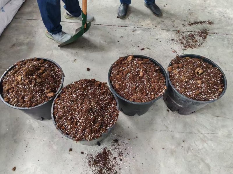 栽培基质蓝莓专用种植土酸性土壤蓝莓种植基质进口泥炭土