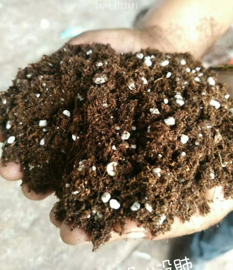 栽培基质蓝莓专用种植土酸性土壤蓝莓种植基质进口泥炭土