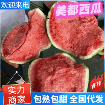 美都西瓜麒麟瓜/安徽西瓜/砀山美都/包熟包甜/可全国发货