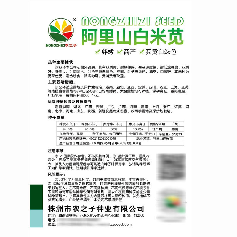 白米苋菜种子耐热生长速度快鲜嫩高产亮黄白绿色基地