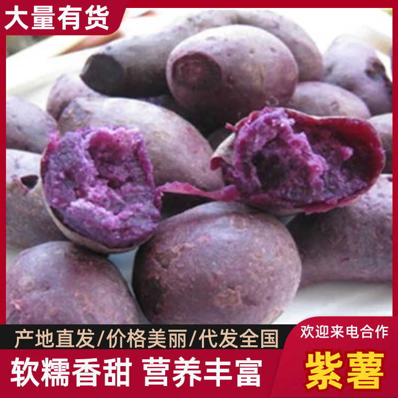 紫罗兰小花叶.紫薯大量出货，货源充足，各种规格