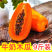 一件代发红心牛奶木瓜当日发货不压单价格超低
