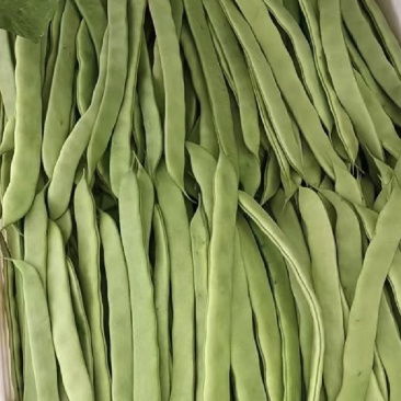 精品扁豆,大扁豆,绿扁豆,价格优惠,品质保证产地