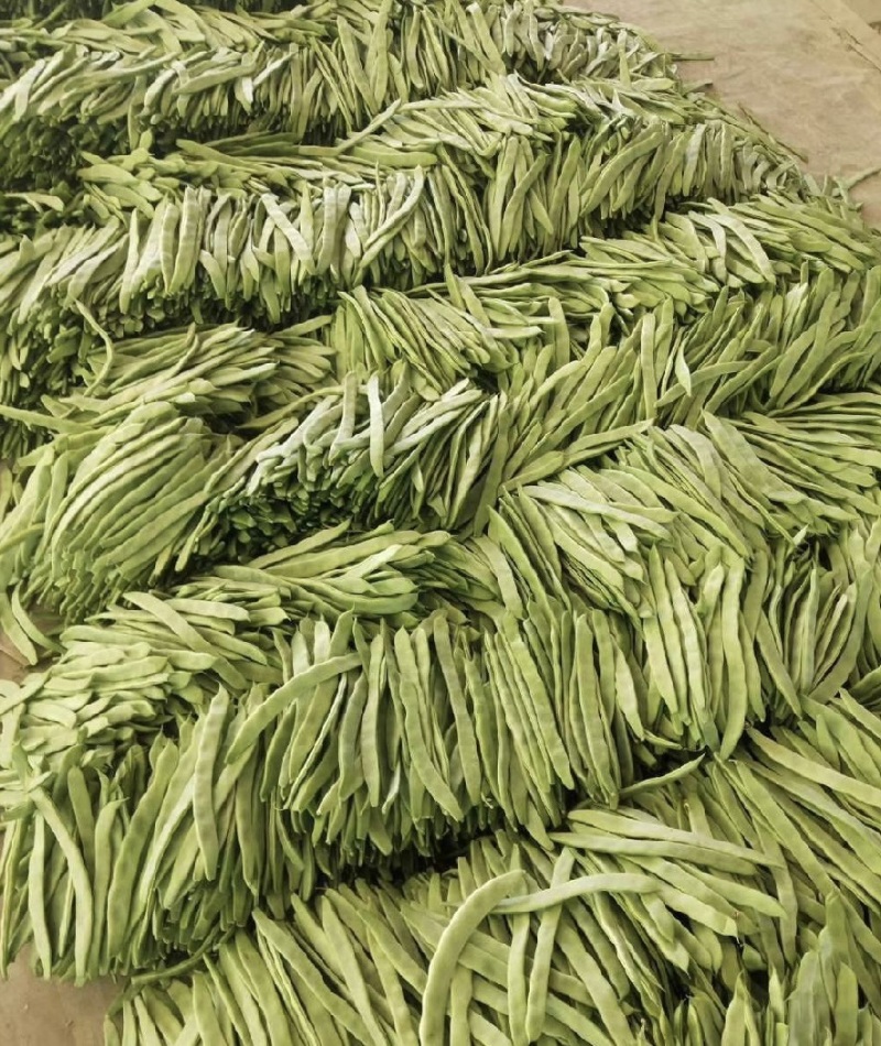 精品扁豆，大扁豆，绿扁豆，价格优惠，品质保证产地