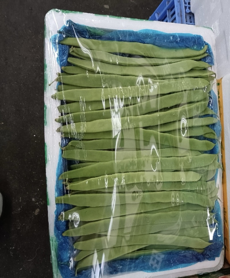 精品扁豆，大扁豆，绿扁豆，价格优惠，品质保证产地