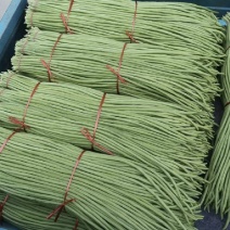 山东白条豆角，豇豆，青条豆角，长豆角，产地直发大量供应。