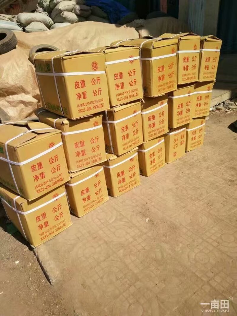 岷当归各规格齐全，一手货源，保质保量，欢迎选购
