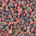 雪胎菊新疆特产昆仑菊花苞蕾无加工原味泡茶喝代用花草茶包邮