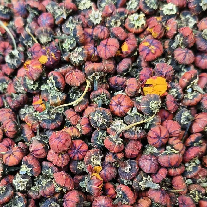雪胎菊新疆特产昆仑菊花苞蕾无加工原味泡茶喝代用花草茶包邮