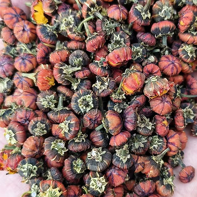 雪胎菊新疆特产昆仑菊花苞蕾无加工原味泡茶喝代用花草茶包邮