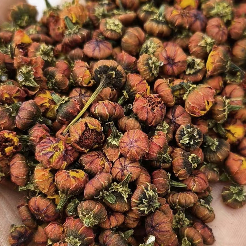 雪胎菊新疆特产昆仑菊花苞蕾无加工原味泡茶喝代用花草茶包邮