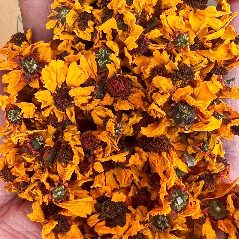 雪菊花干新疆无加工原味代用花草茶泡茶头茬新货包邮产地批发