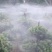 16PE管新料25pe毛管浇花喷灌设备20pe灌溉水管