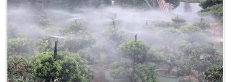 16PE管新料25pe毛管浇花喷灌设备20pe灌溉水管