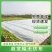水稻育苗无纺布农用薄膜保温保湿透气透水可降解厂家供应
