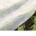水稻育苗无纺布农用薄膜保温保湿透气透水可降解厂家供应