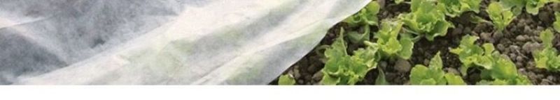 水稻育苗无纺布农用薄膜保温保湿透气透水可降解厂家供应