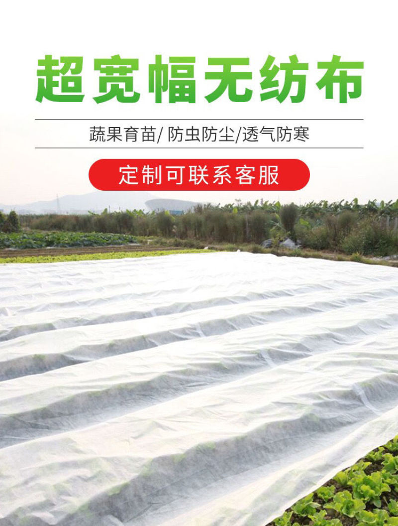 水稻育苗无纺布农用薄膜保温保湿透气透水可降解厂家供应