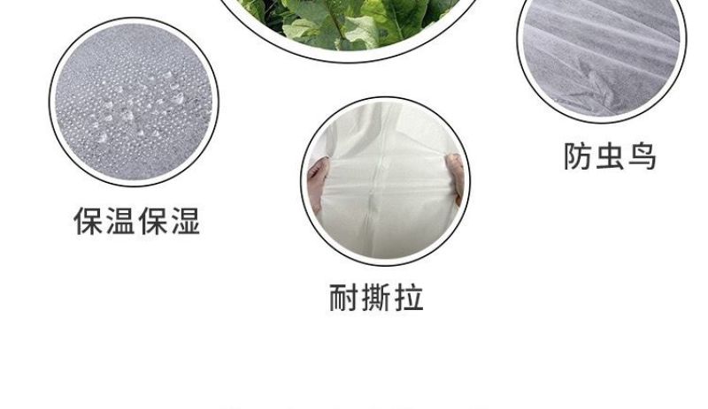 水稻育苗无纺布农用薄膜保温保湿透气透水可降解厂家供应