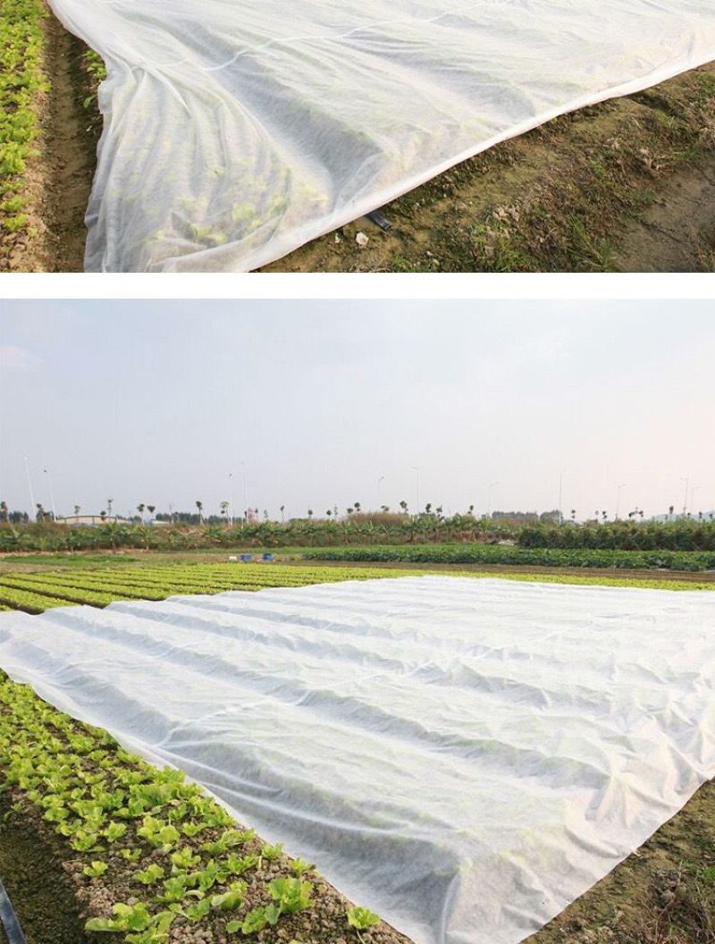 水稻育苗无纺布农用薄膜保温保湿透气透水可降解厂家供应