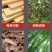 电锯锂电锯充电锯手提式户外无线小型伐木单手锯砍树修枝锯
