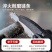 电锯锂电锯充电锯手提式户外无线小型伐木单手锯砍树修枝锯
