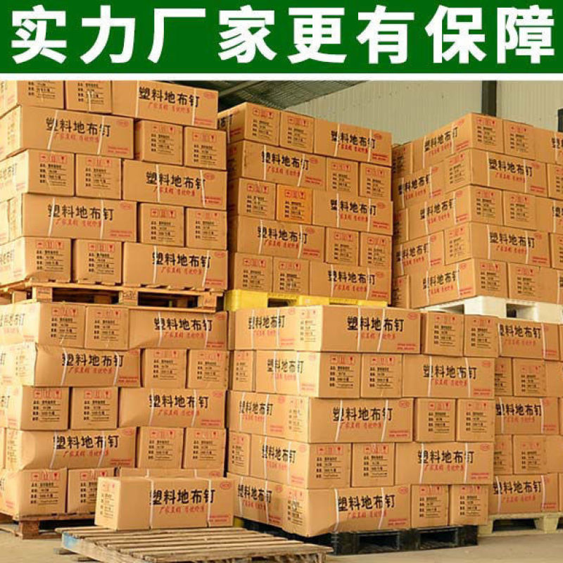 地钉除草布地布钉果园黑色塑料地钉大棚地膜钉园艺地钉厂家防