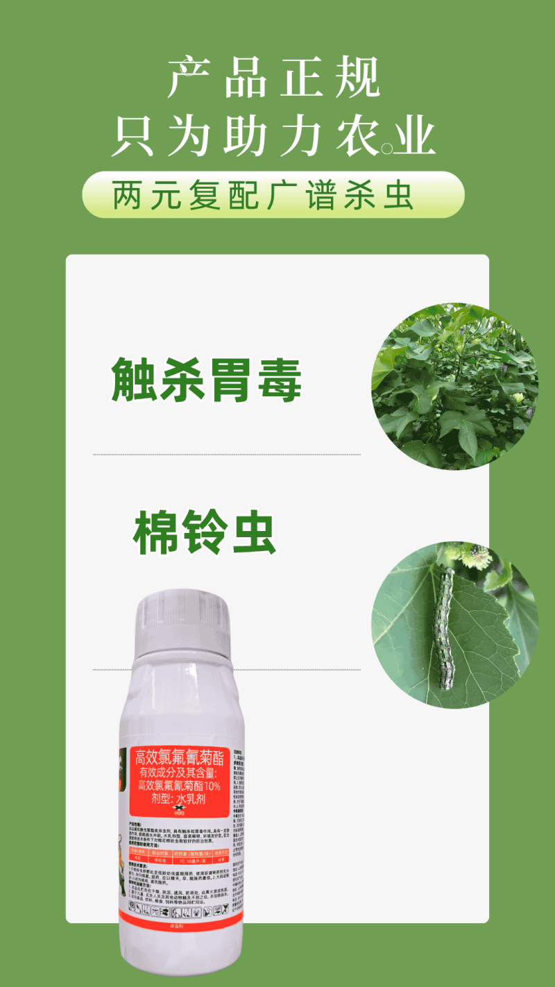 10%高效氯氟氰菊酯棉铃虫青虫地上地下害虫