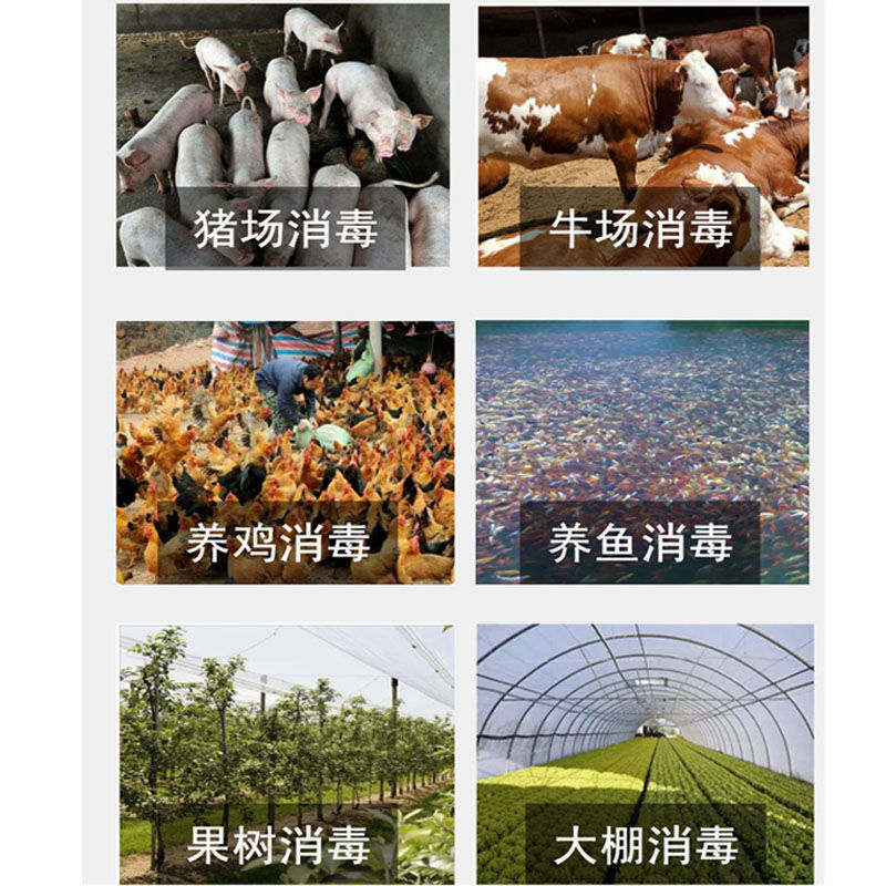 消毒粉电动喷粉机农用喷粉枪新款石灰粉喷雾牛羊鸡舍消毒大棚