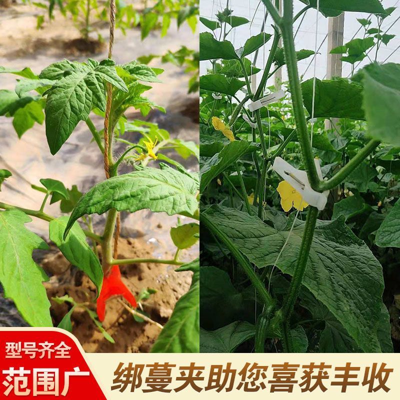 吊秧夹子大棚黄瓜西红柿吊秧夹番茄子农用吊蔓扶蔓绑蔓夹落秧
