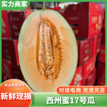 西州蜜瓜海南哈密瓜西州蜜17号万亩基地持续供应商超品质