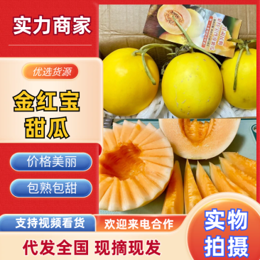 甘肃金红宝民勤金红脆甜瓜基地直发量大从优供应全国市场
