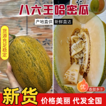 哈密瓜新疆八六王哈密瓜大量供应商超品质代发全国