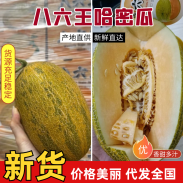 哈密瓜新疆八六王哈密瓜大量供应商超品质代发全国