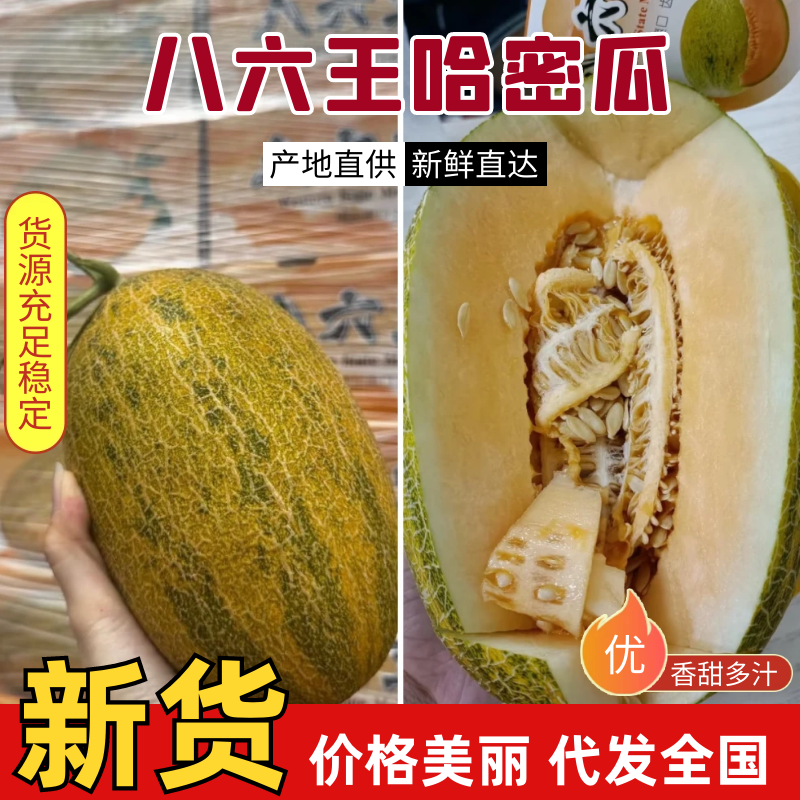 哈密瓜新疆八六王哈密瓜大量供应商超品质代发全国