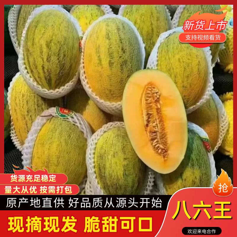 八六王新疆八六王哈密瓜脆甜多汁基地直发供应市场电商