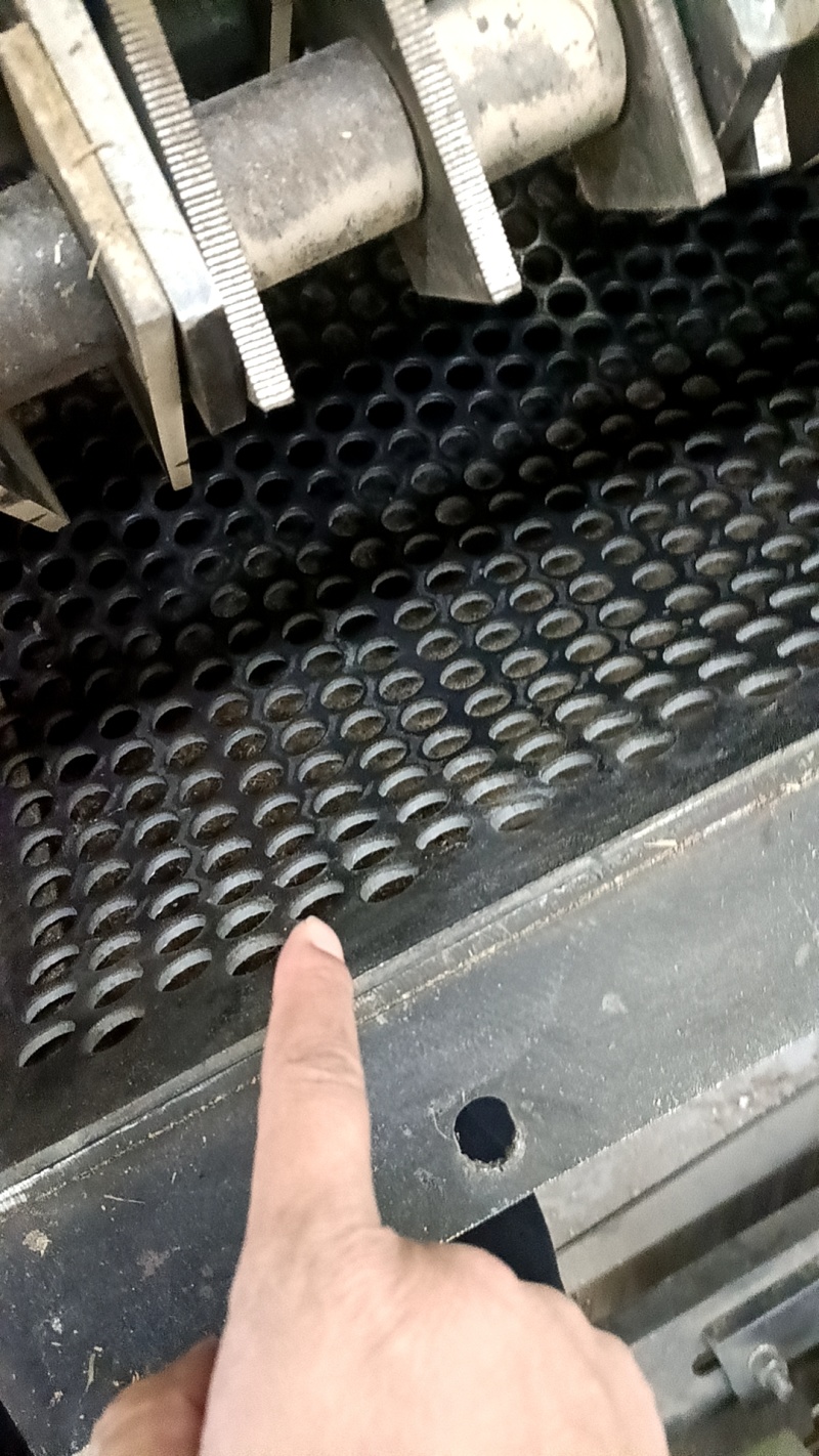筛网