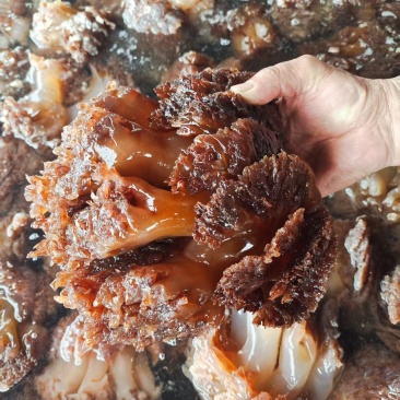 精品海蜇大整头，可对接电商社区团购等，诚信经营，品质保证