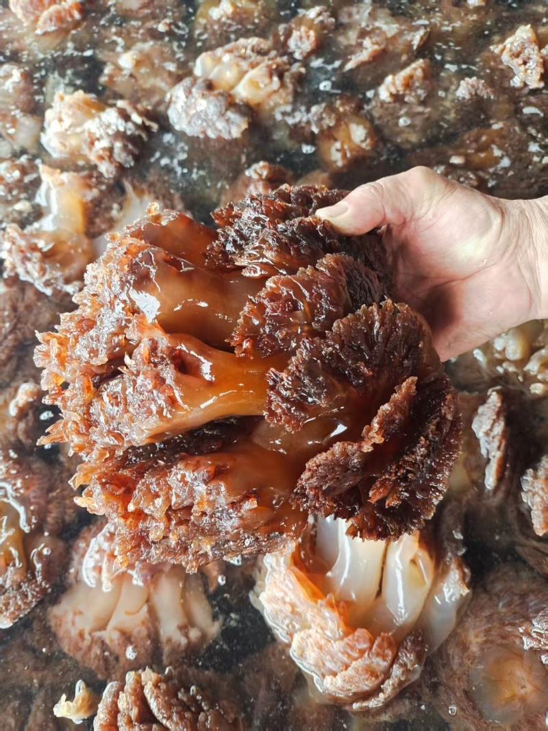 精品海蜇大整头，可对接电商社区团购等，诚信经营，品质保证
