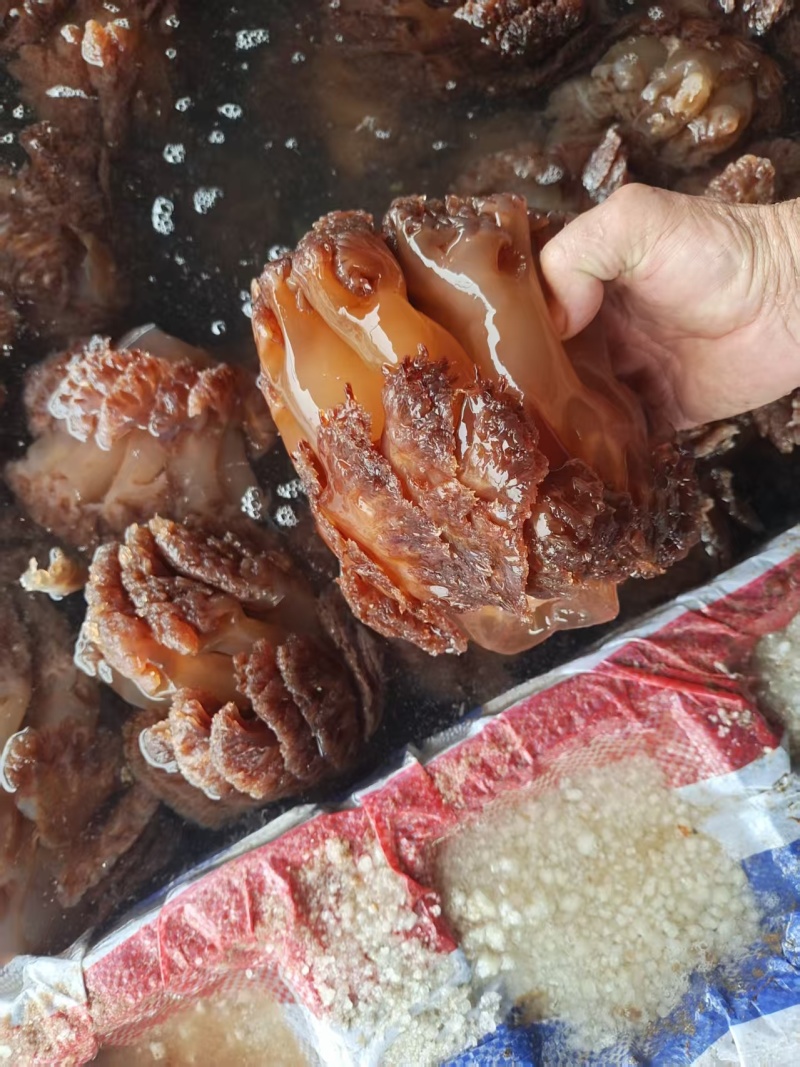 精品海蜇大整头，可对接电商社区团购等，诚信经营，品质保证