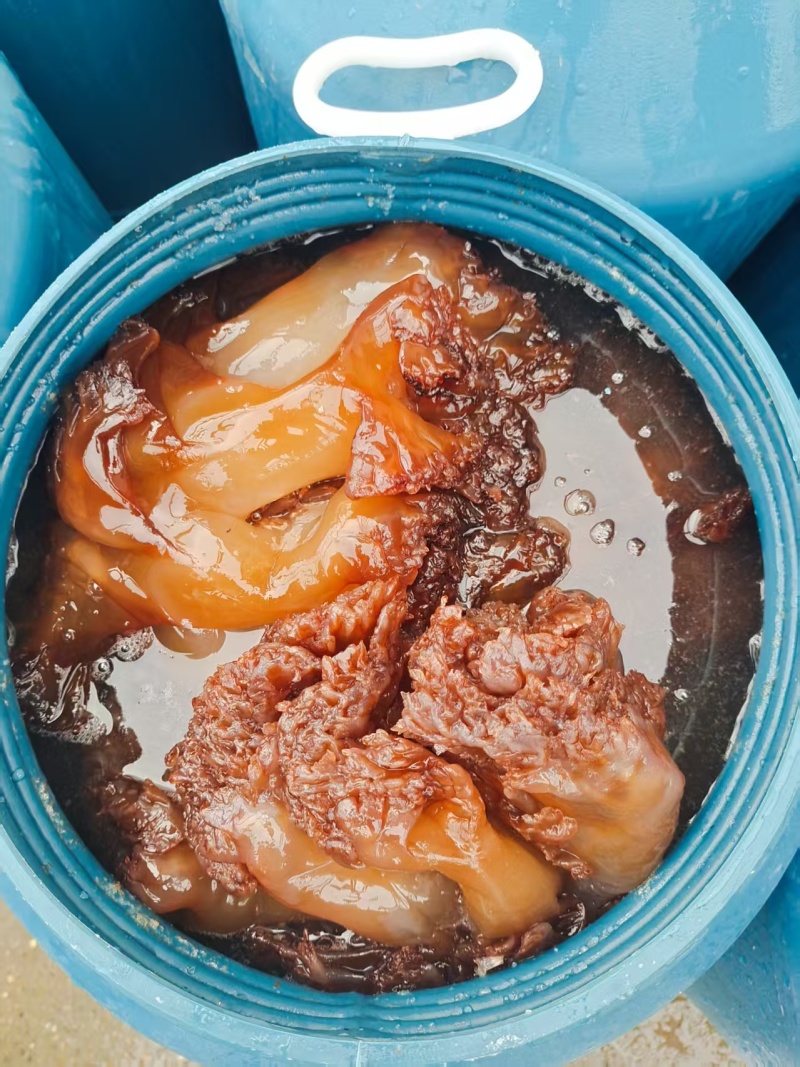 精品海蜇大整头，可对接电商社区团购等，诚信经营，品质保证