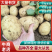 湖北万亩土豆大量上市！基地直供学校商超边贸电商平台