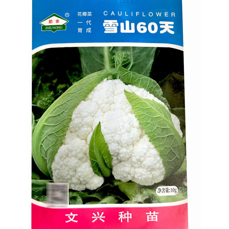 雪山60天花椰菜种子花菜种子早熟耐热花球紧密洁白